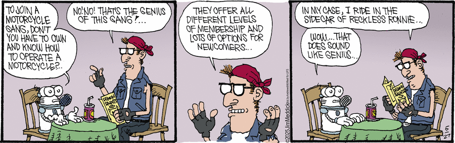Monty by Jim Meddick  on Tue, 27 May 2025
