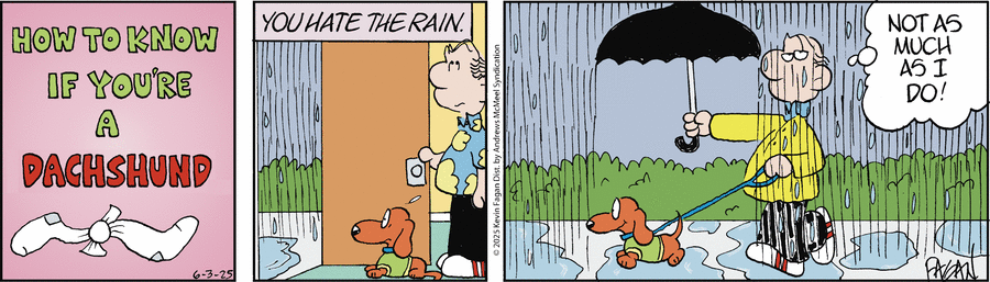 Drabble by Kevin Fagan on Tue, 03 Jun 2025