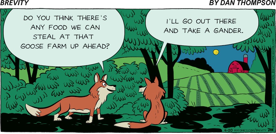 Brevity by Dan Thompson on Sun, 20 Apr 2025