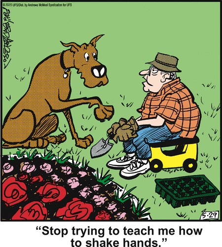 Marmaduke by Brad Anderson on Thu, 29 May 2025