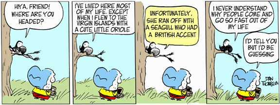 Lost Sheep by Dan Thompson on Fri, 16 May 2025