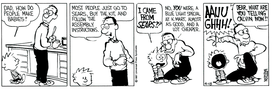 【希少】カルビンとホッブス : American kids comedy 1.2 希少】カルビンとホッブス : American kids comedy 1.2 Calvin