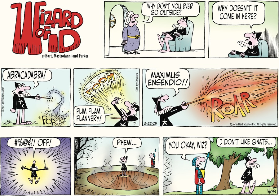 Wizard of Id