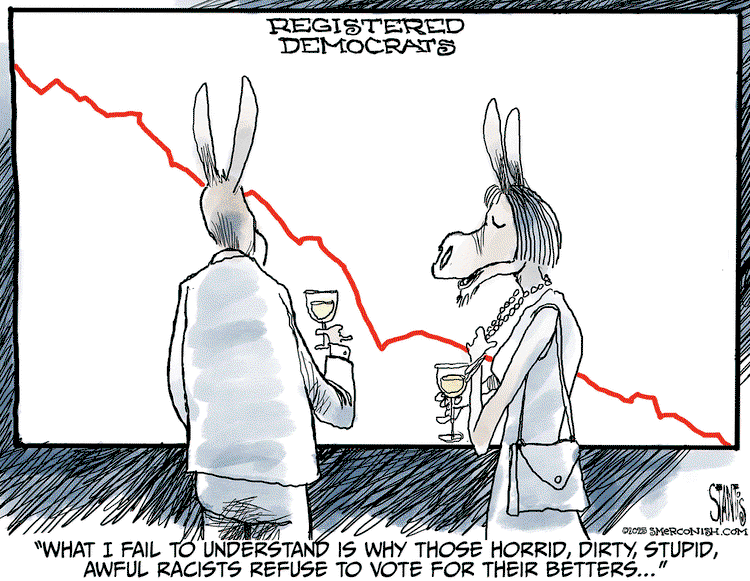 Think Toon by  Scott Stantis
 
	