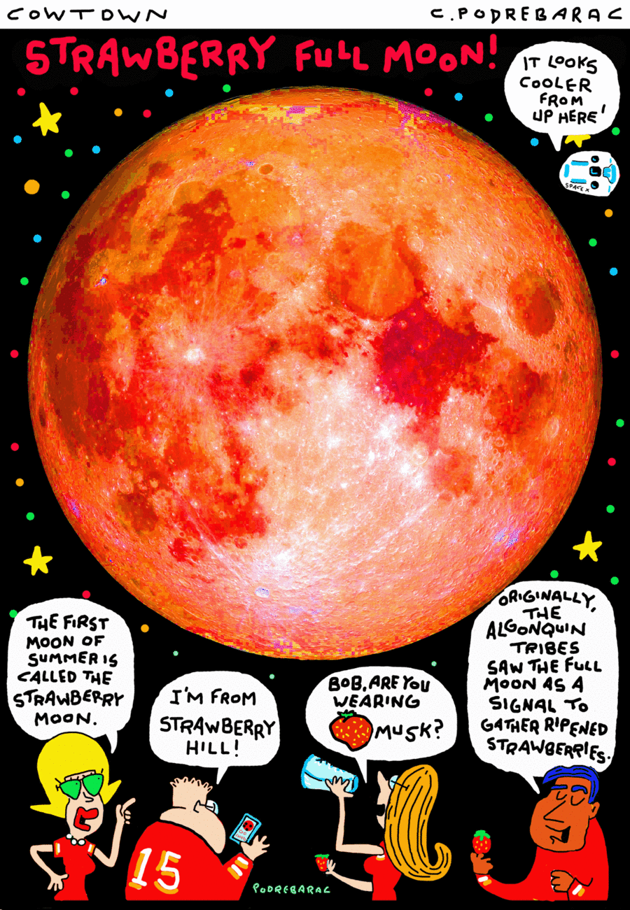 CowTown by Charlie Podrebarac on Wed, 11 Jun 2025