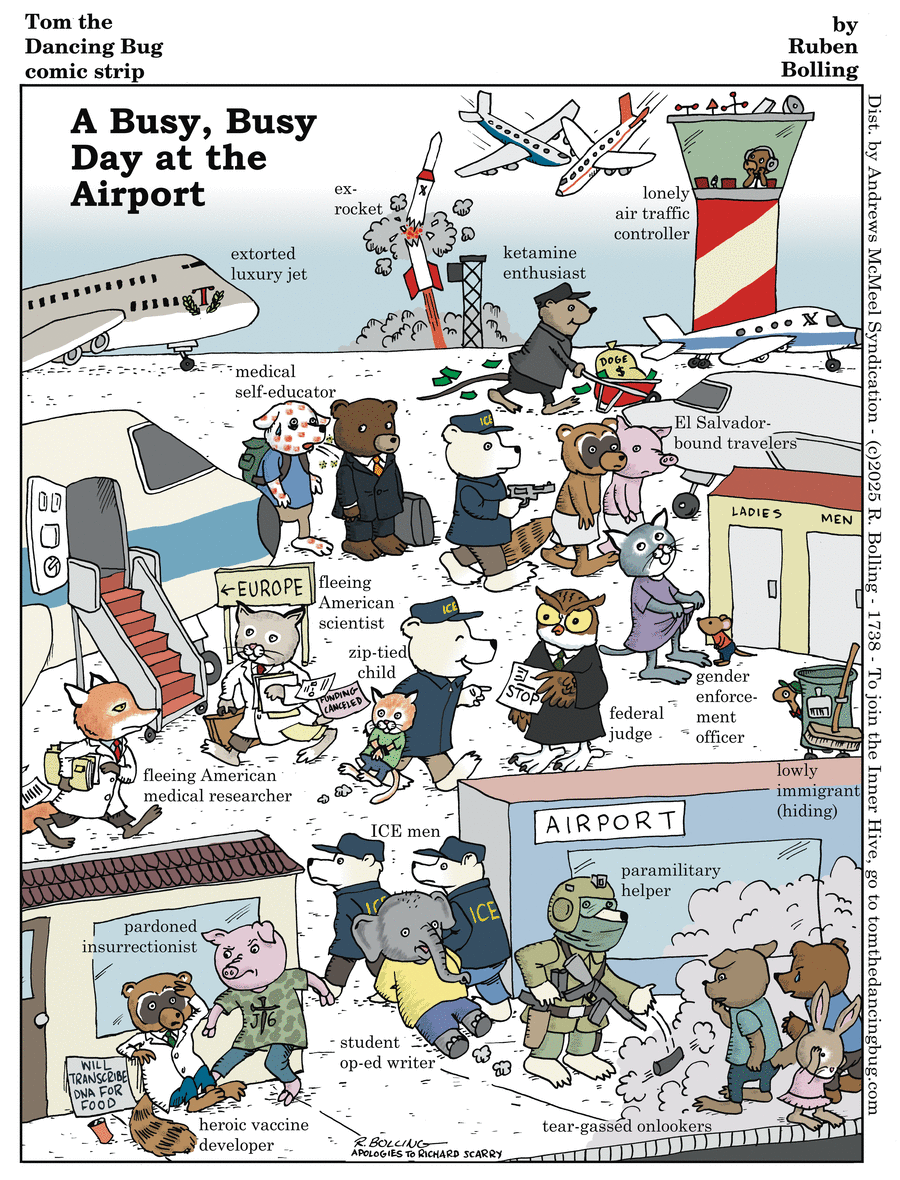Tom the Dancing Bug by Ruben Bolling on Fri, 06 Jun 2025