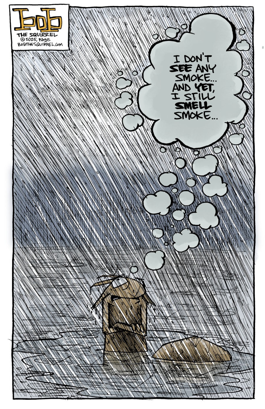 Bob the Squirrel by Frank Page on Sun, 27 Apr 2025