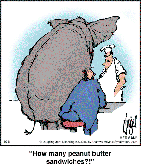 b0eb7b507bb2013eb4d9005056a9545d