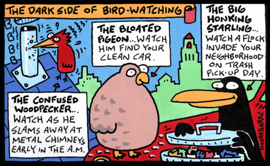 CowTown by Charlie Podrebarac on Sat, 21 Jun 2025