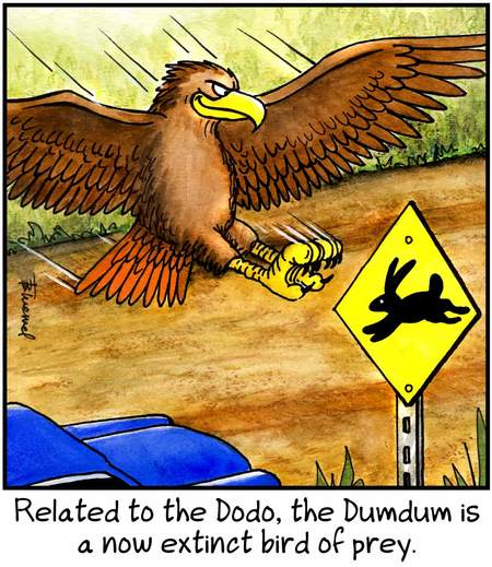 Birdbrains by Thom Bluemel on Thu, 05 Jun 2025