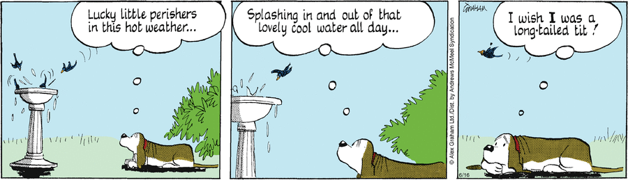 Fred Basset by Alex Graham on Mon, 16 Jun 2025