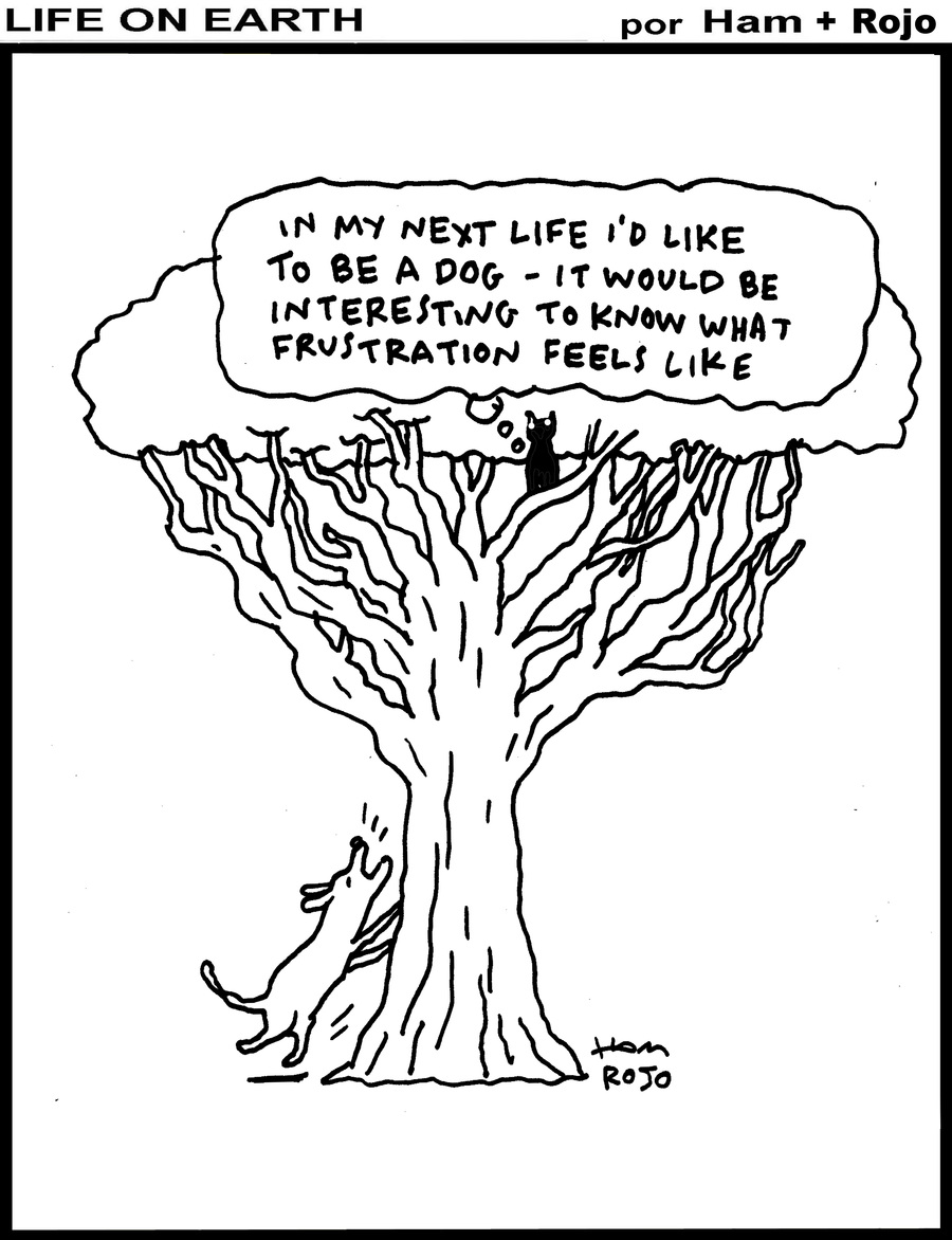 Life on Earth by Ham on Sat, 21 Jun 2025