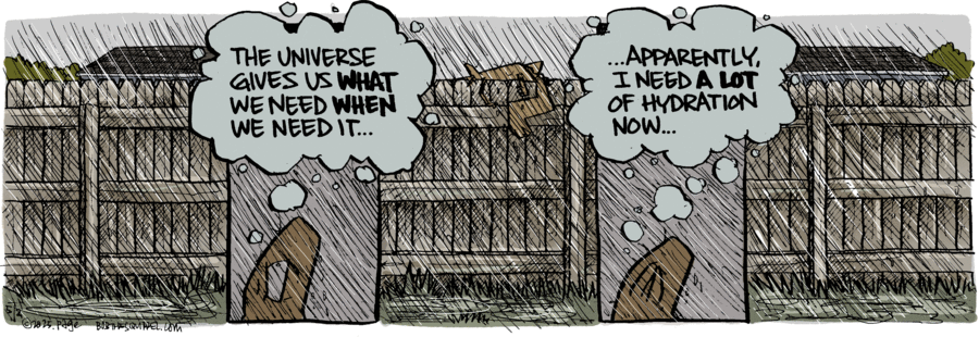 Bob the Squirrel by Frank Page on Fri, 02 May 2025