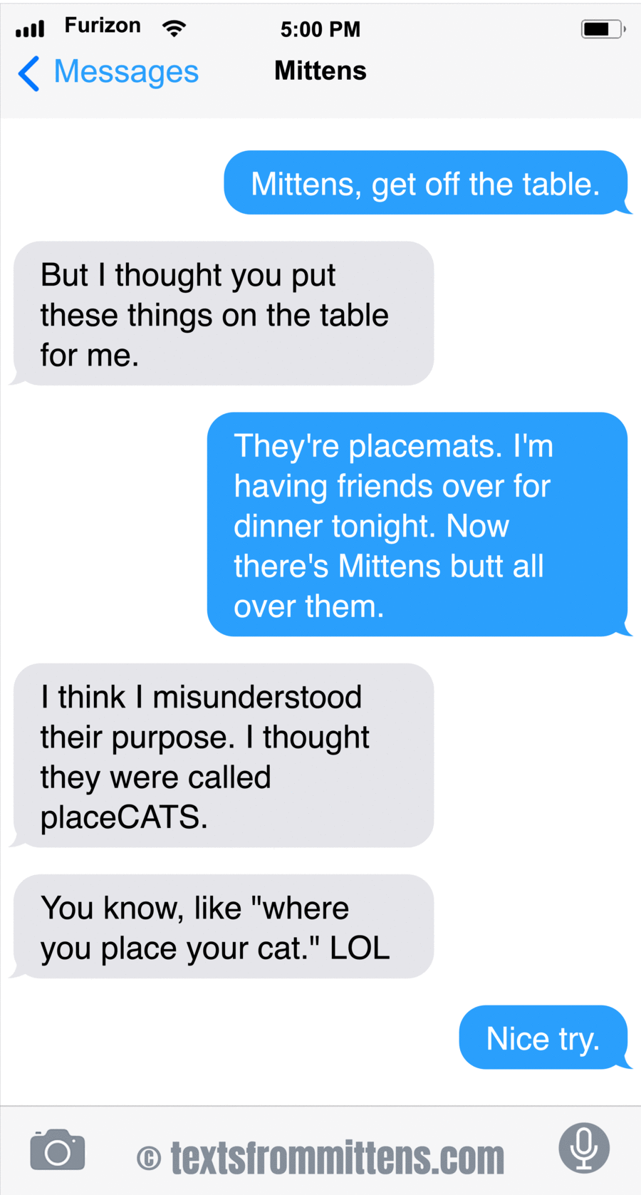 Texts From Mittens by Angie Bailey on Wed, 11 Jun 2025