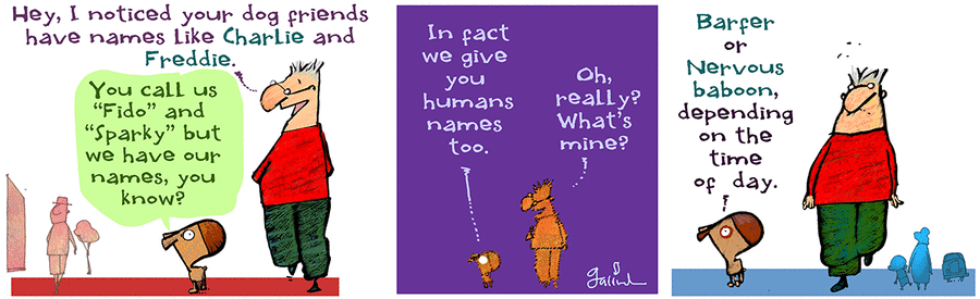 Understanding Chaos by Gustavo Rodriguez on Thu, 12 Jun 2025