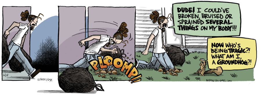 Bob the Squirrel by Frank Page on Sat, 14 Jun 2025