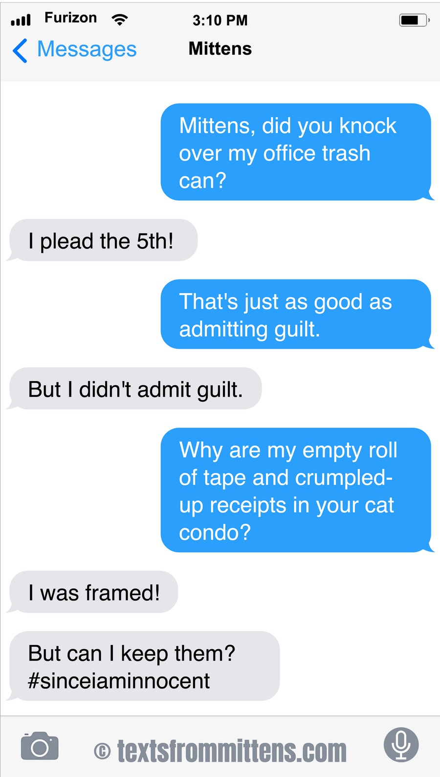 Texts From Mittens by Angie Bailey on Sun, 15 Jun 2025