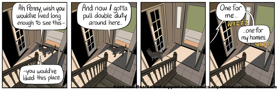 Beardo by Dan Dougherty on Sat, 21 Jun 2025