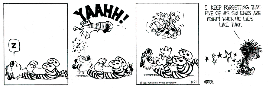 Calvin and Hobbes by Bill Watterson for November 21, 1987
