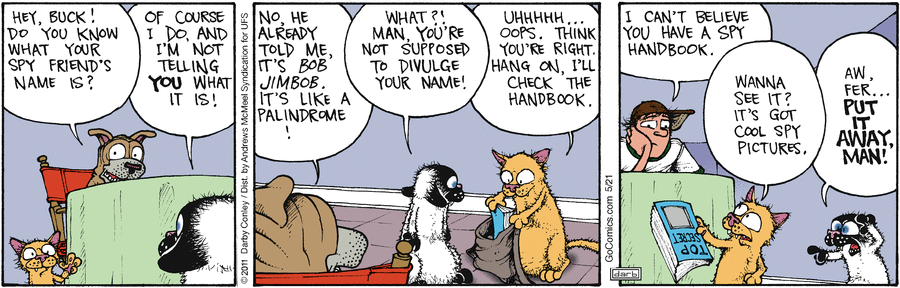 Get Fuzzy by Darby Conley on Wed, 21 May 2025