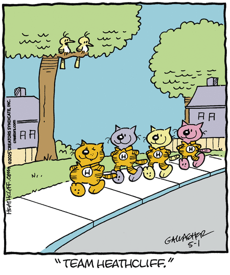 Heathcliff by Peter Gallagher and George Gately on Thu, 01 May 2025