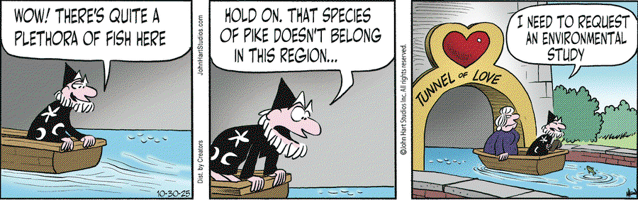 bf26655090b3013eb772005056a9545d