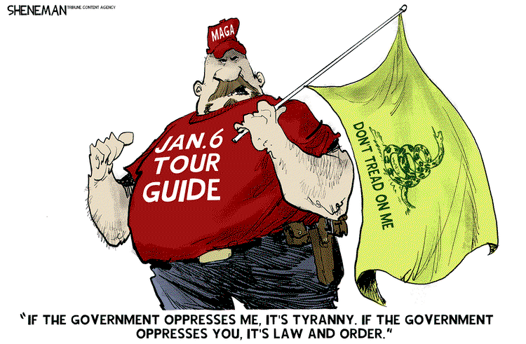 MAGA-hatted man carrying the Gadsden flag and wearing a tee shirt reading 