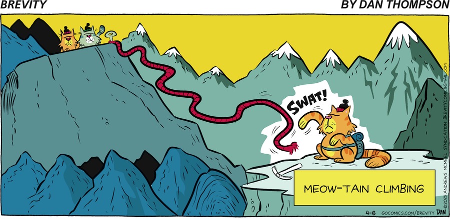 Brevity by Dan Thompson on Sun, 06 Apr 2025