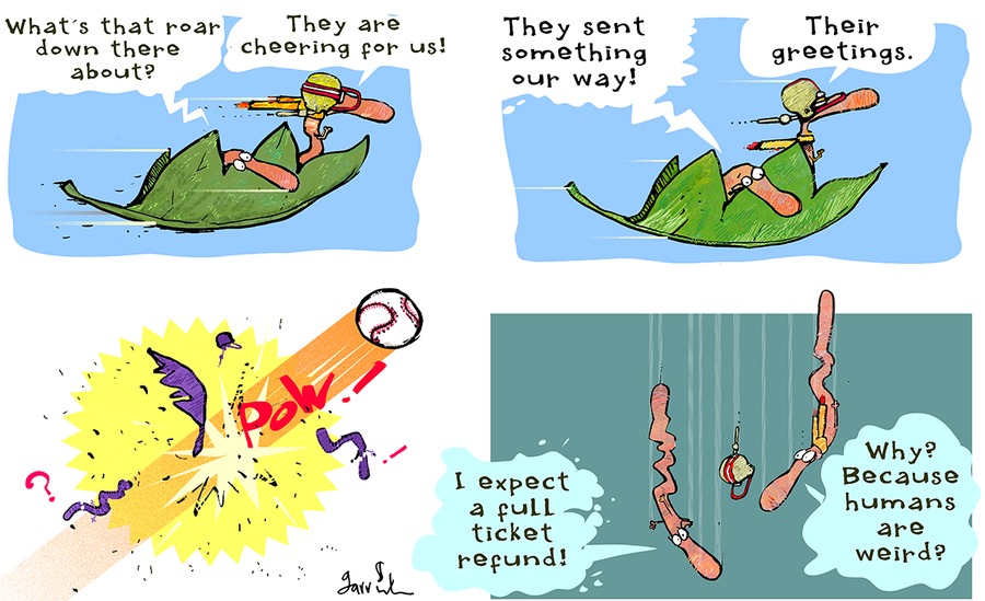 Understanding Chaos by Gustavo Rodriguez on Fri, 06 Jun 2025