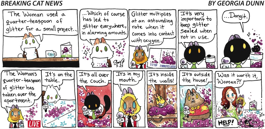 Breaking Cat News by Georgia Dunn on Sun, 25 May 2025