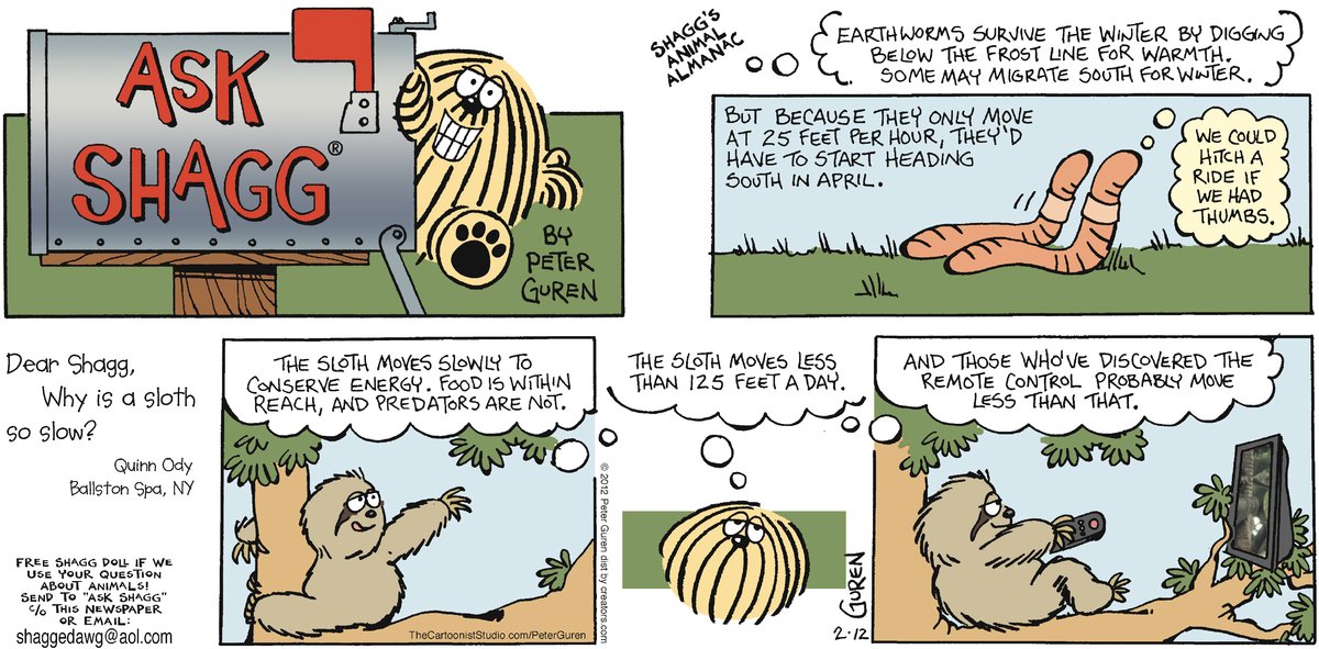 Ask Shagg by Peter Guren on Sun, 04 May 2025