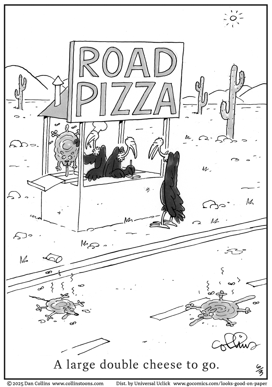 Looks Good on Paper by Dan Collins on Tue, 03 Jun 2025