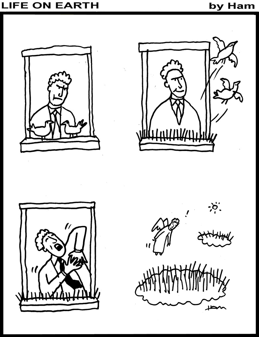 Life on Earth by Ham on Wed, 21 May 2025