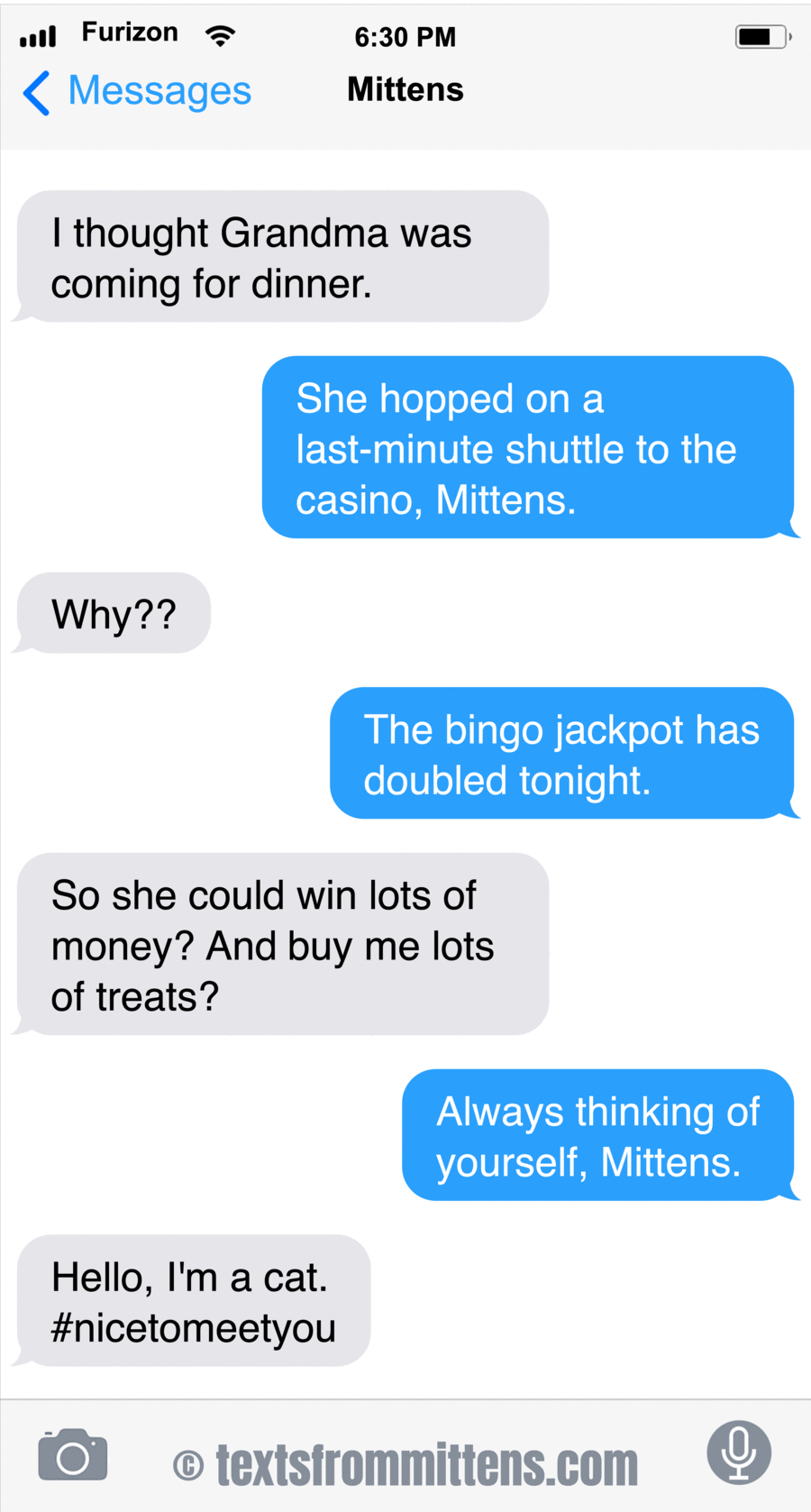 Texts From Mittens by Angie Bailey on Mon, 09 Jun 2025