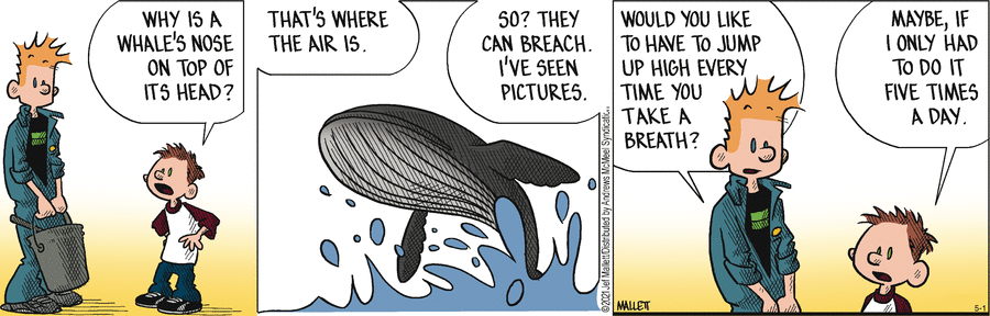 Frazz by Jef Mallett on Thu, 01 May 2025