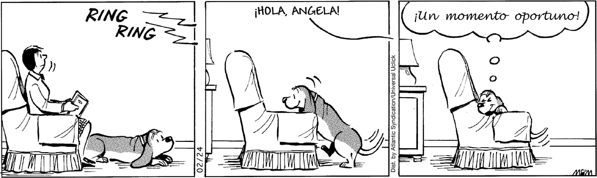 Fred Basset en Español by Alex Graham on Sat, 07 Jun 2025