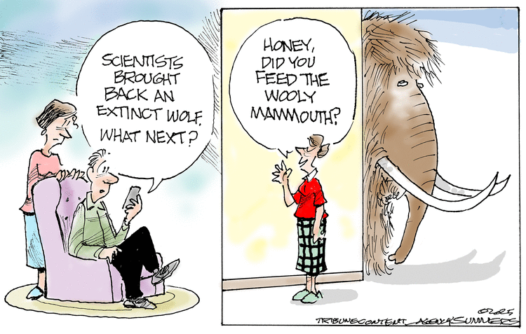 Dana Summers by Dana Summers on Wed, 09 Apr 2025