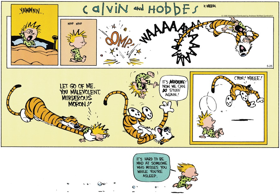Calvin and Hobbes by Bill Watterson on Sun, 25 May 2025