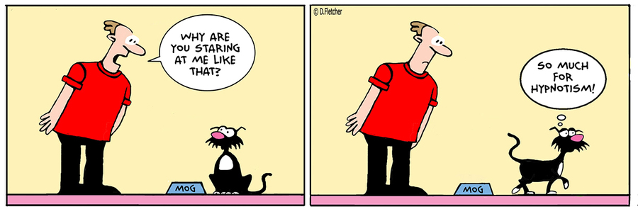 Crumb by David Fletcher on Thu, 10 Apr 2025