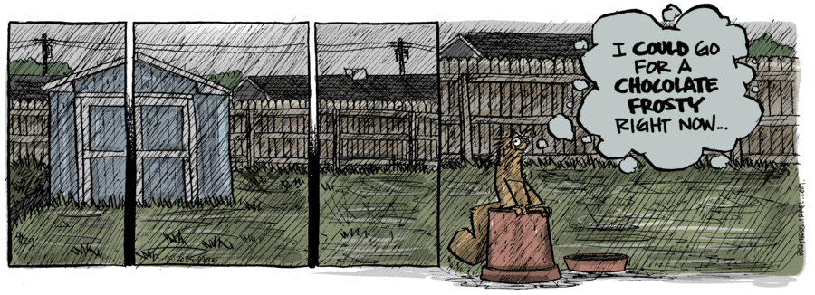 Bob the Squirrel by Frank Page on Tue, 29 Apr 2025