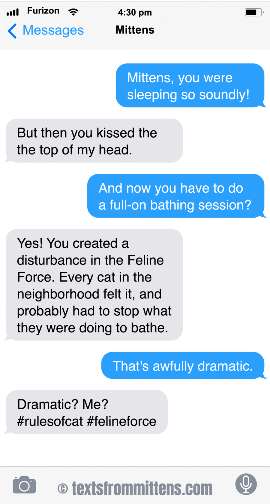 Texts From Mittens by Angie Bailey on Fri, 20 Jun 2025
