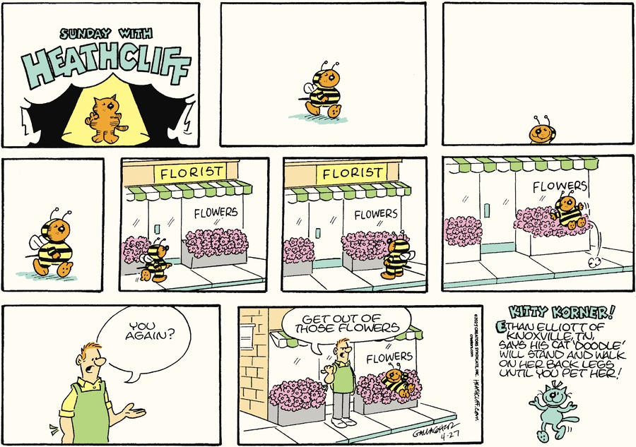 Heathcliff by Peter Gallagher and George Gately on Sun, 27 Apr 2025
