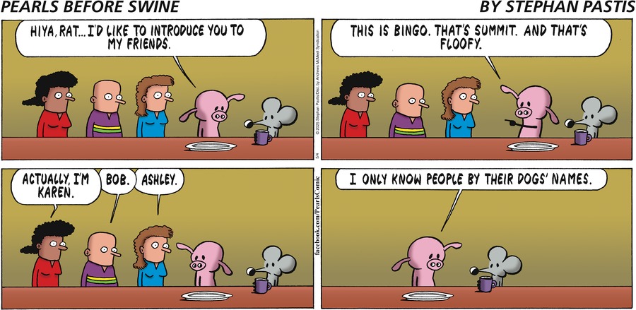 Pearls Before Swine by Stephan Pastis on Sun, 04 May 2025