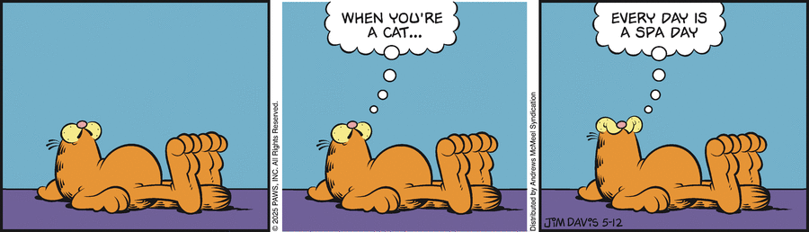Garfield by Jim Davis on Mon, 12 May 2025