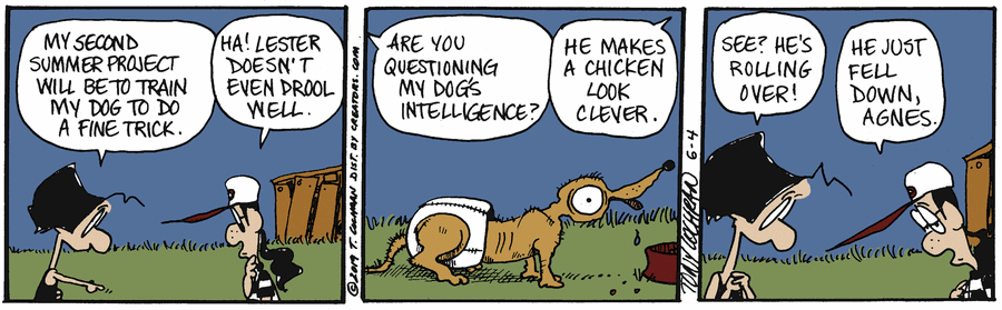 Agnes by Tony Cochran on Wed, 04 Jun 2025