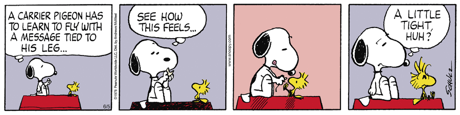 Peanuts by Charles Schulz on Thu, 05 Jun 2025