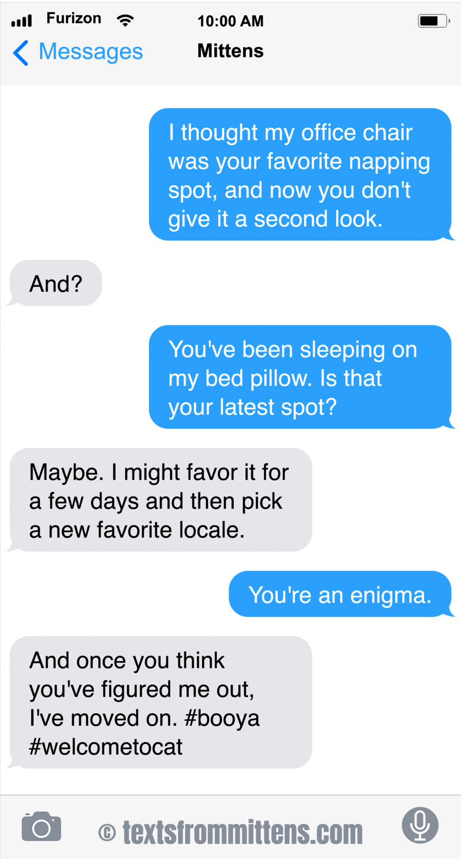 Texts From Mittens by Angie Bailey on Tue, 27 May 2025