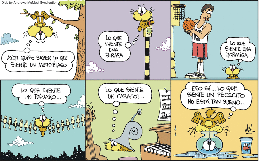 Gaturro by NIK on Sat, 21 Jun 2025