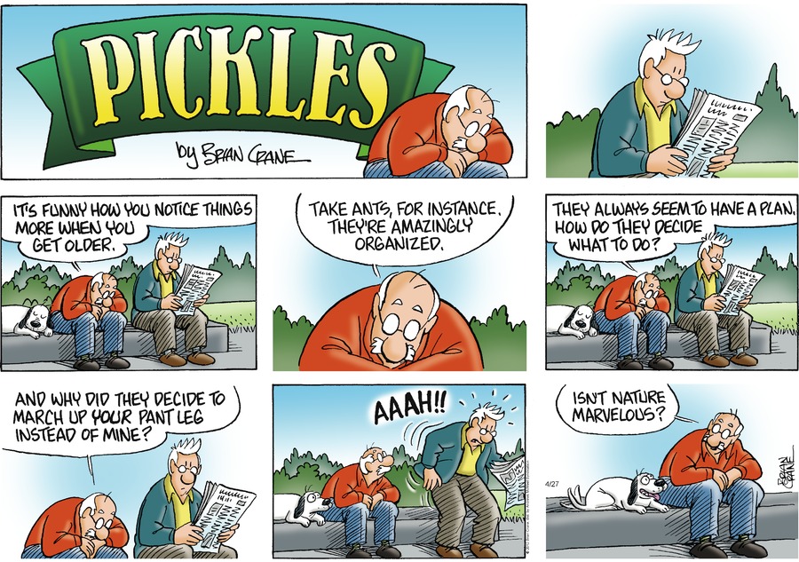 Pickles by Brian Crane on Sun, 27 Apr 2025