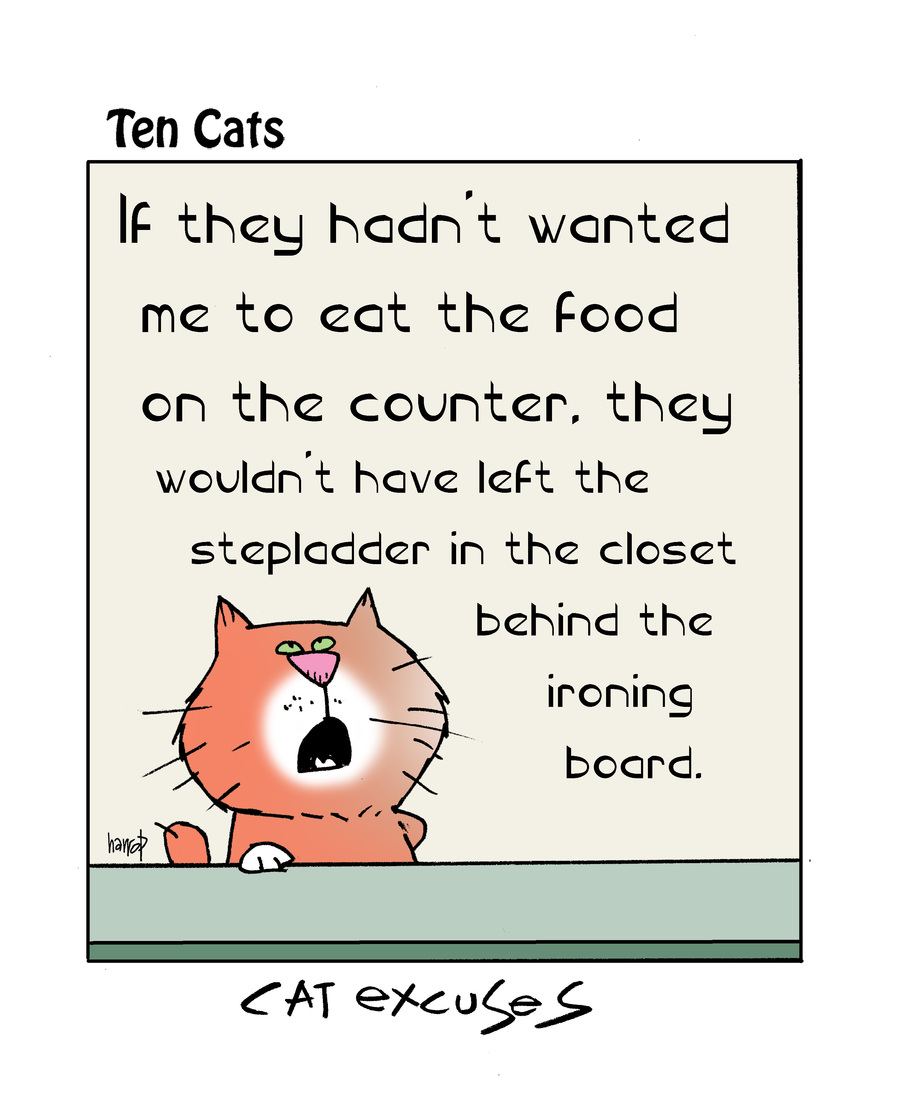 Ten Cats by Graham Harrop on Sun, 27 Apr 2025